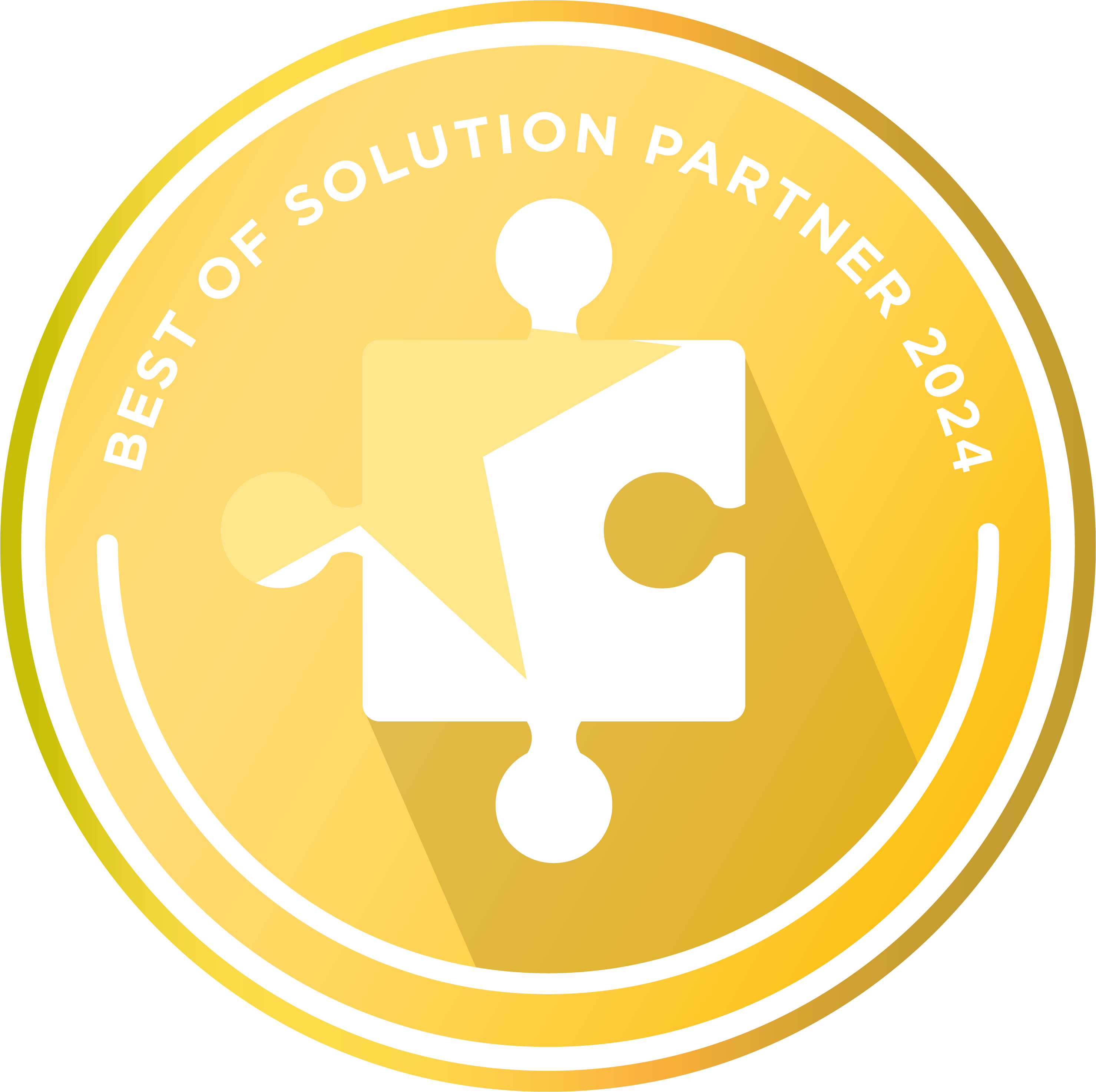 Best of Solution Partner 2024